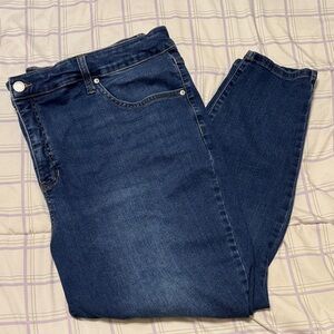 Terra & Sky Dark Blue Skinny Jeans